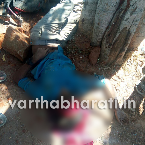 ಆನೇಕಲ್: ಮರಕ್ಕೆ ಬೈಕ್ ಢಿಕ್ಕಿ ವಿದ್ಯಾರ್ಥಿ ಸ್ಥಳದಲ್ಲೇ ಮೃತ್ಯು